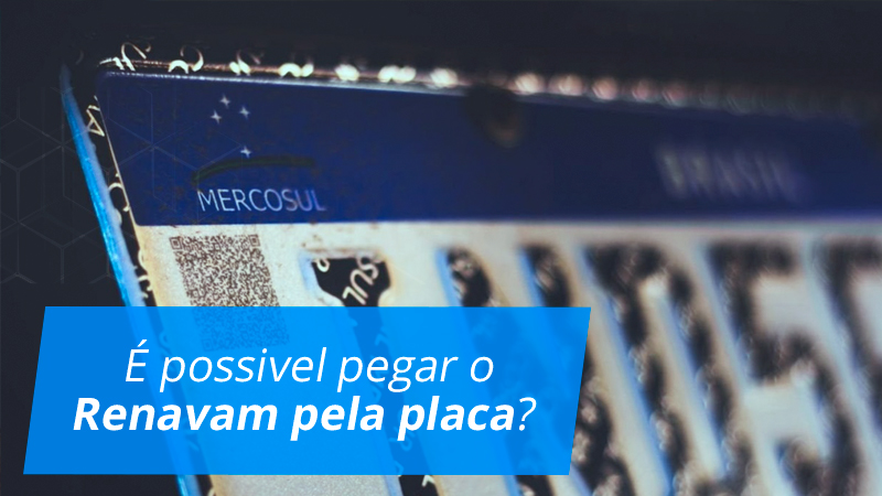 e possivel pegar o Renavam pela placa